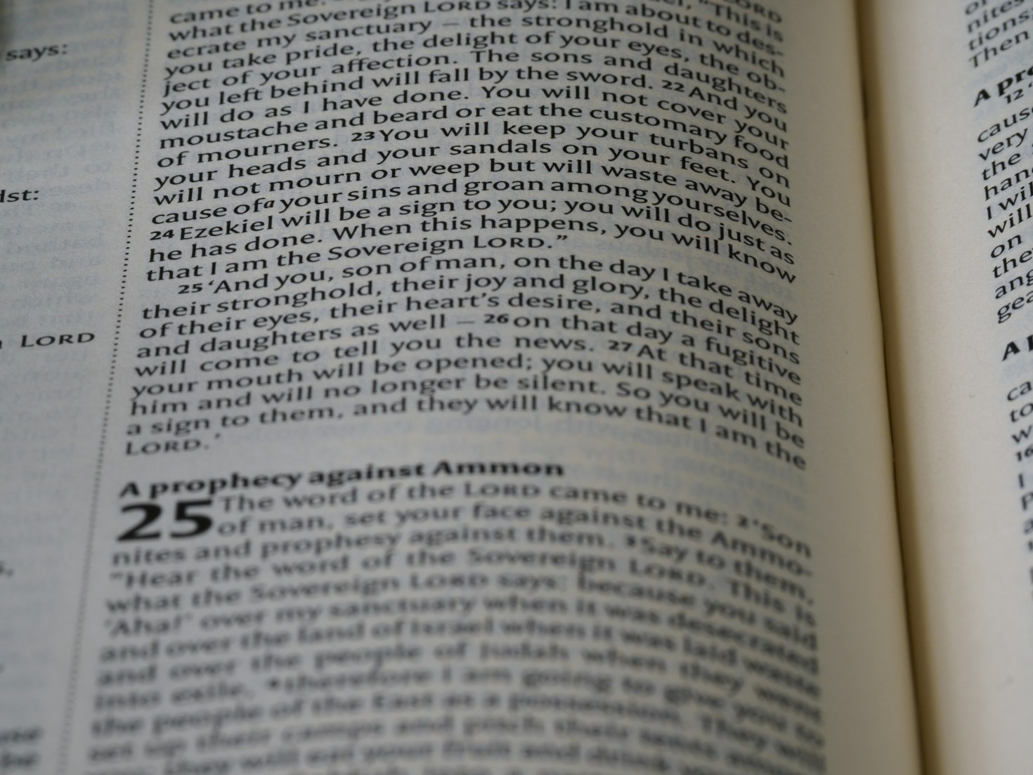 The Role of Ancestral Wisdom in Modern Consulting